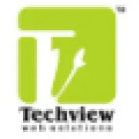 Techview web solutions