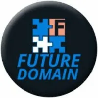 Future Domain Services Pvt. Ltd.