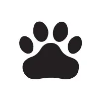 Scottish SPCA (Scottish Society for the Prevention of Cruelty to Animals)