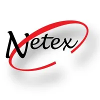 Netex Consulting