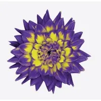 LifeWorks Wellbeing (acquise par TELUS Santé | acquired by TELUS Health)