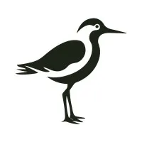 Sandpiper Agency
