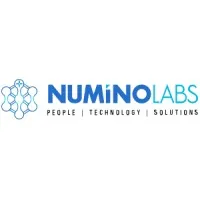 Numino Labs Private Limited