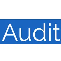 AuditNow BV
