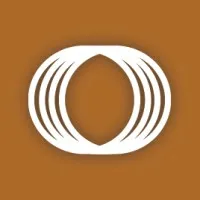 FI Consulting