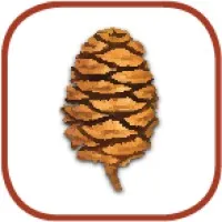 Sequoia Ecological Consulting
