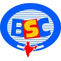 BSC Paints