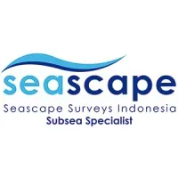 Seascape Surveys
