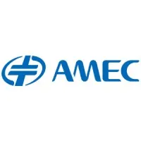 AMEC (Advanced Micro-Fabrication Equipment Inc.)