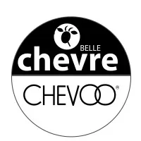 CHEVOO Inc.
