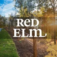 Red Elm