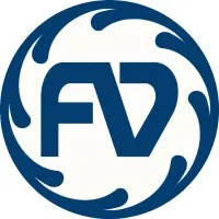 Future Vision Computers