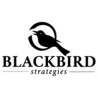 Blackbird Strategies