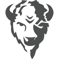 Bison Technologies