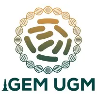 iGEM UGM