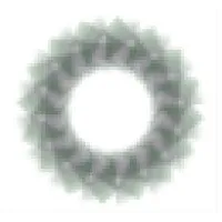 International Market Management