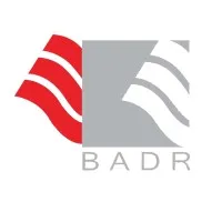 Badr Electric