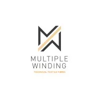 Multiple Winding Company Limited