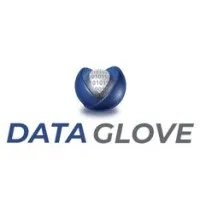 Data Glove Inc.