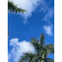 RecovX Health