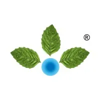 Anupam Rasayan India Ltd