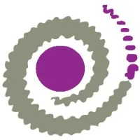 Pinkmatter Solutions