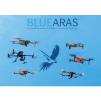 BLUEARAS