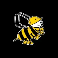 Beesley & Fildes Ltd