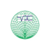 Vi Microsystems Pvt. Ltd.