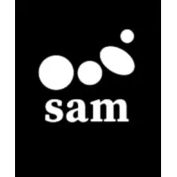 Silver Ant Marketing