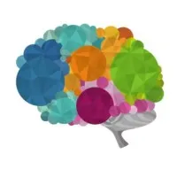 SinerjiBT Bilgi Teknolojileri A.Ş.