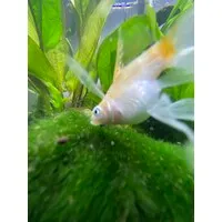 La Terrazza Restaurant & Lounge