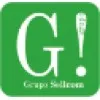 Grupo Sellcom