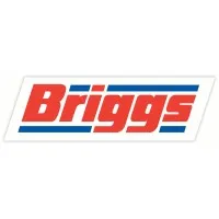 Briggs Marine