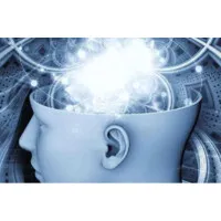 Faculdade de Medicina da USP