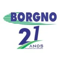 Borgno Transportes