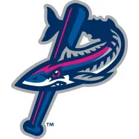 Pensacola Blue Wahoos