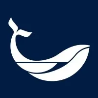 Festival Internacional de Cine de Los Cabos