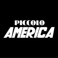 Fondazione Piccolo America