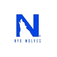 Nyx Wolves Freelance & Business Solutions Pvt. Ltd.