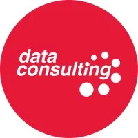 Data Consulting