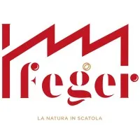 FEGER DI GERARDO FERRAIOLI SPA
