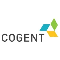 Cogent E Services Private Limited