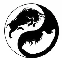 Ashoka Investments Club