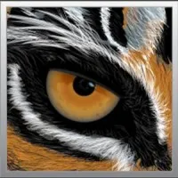 Tigerbrain Engineering, Inc.