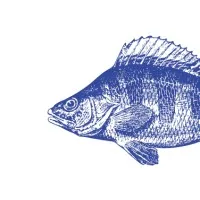 Em Sherif Sea Café - BH