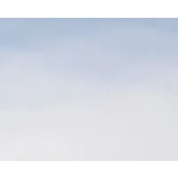 Nerium International