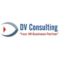 DV Consulting Mx