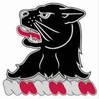 11th Engineer Battalion