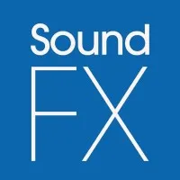 Sound FX Automotive: Lewes & Bridgeville